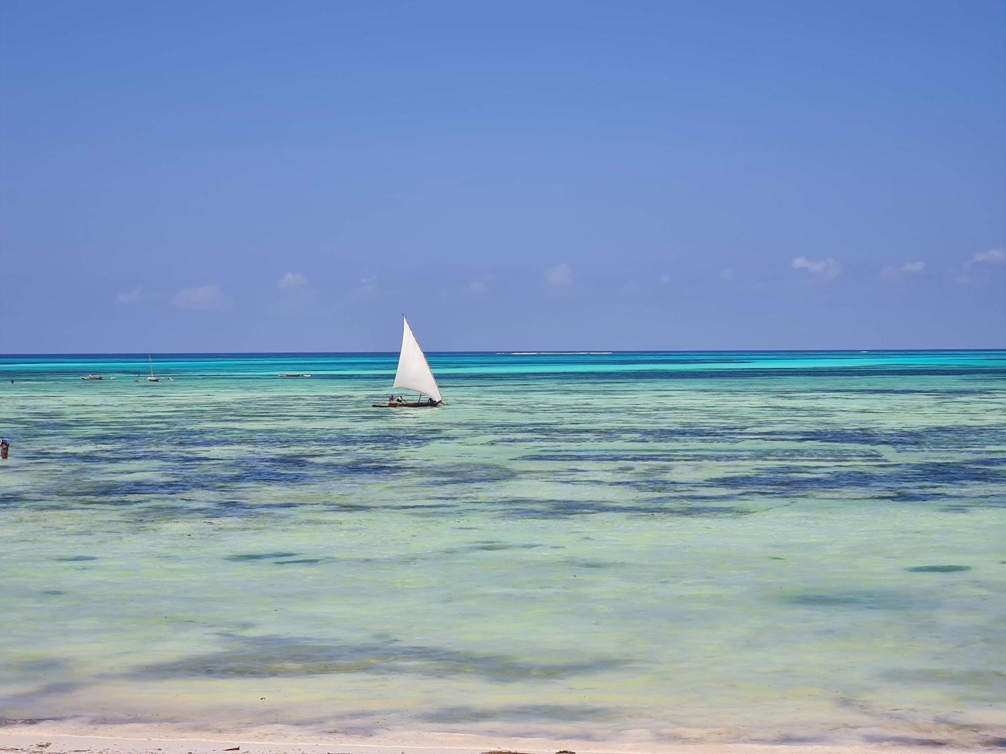 Beachfront Villa Ladha Ya Zanzibar Jambiani  Eksteriør billede