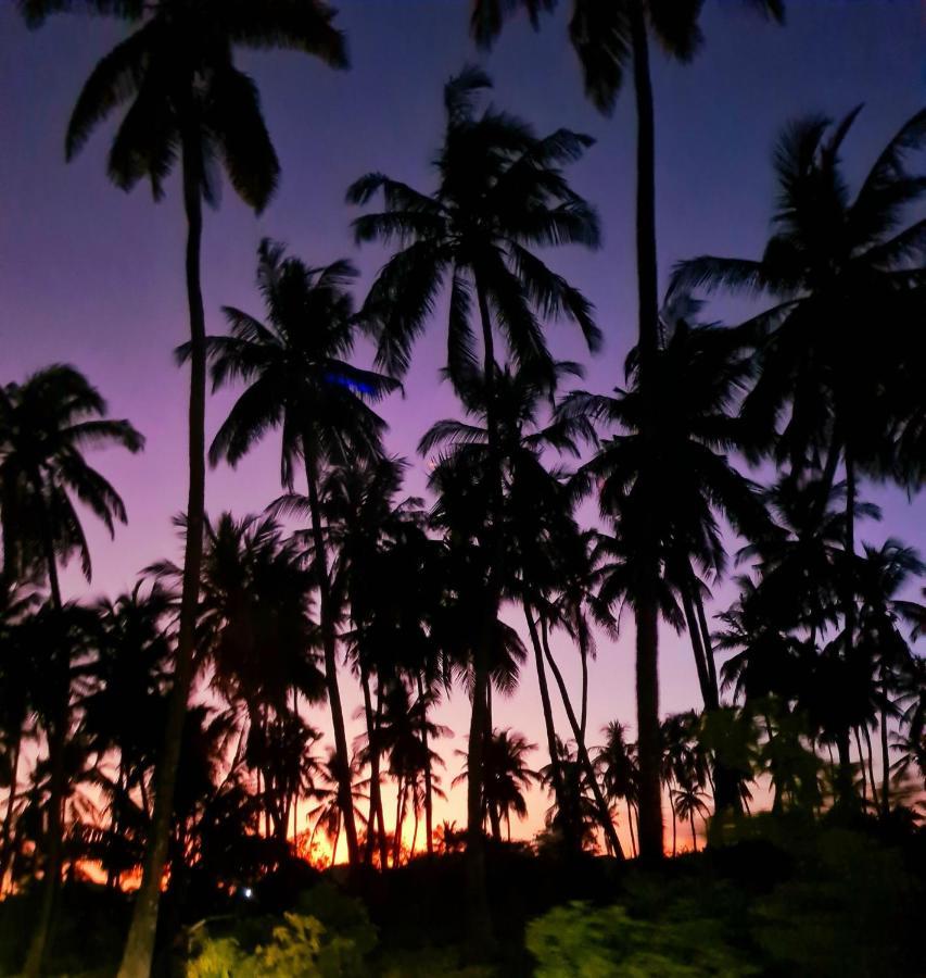 Beachfront Villa Ladha Ya Zanzibar Jambiani  Eksteriør billede
