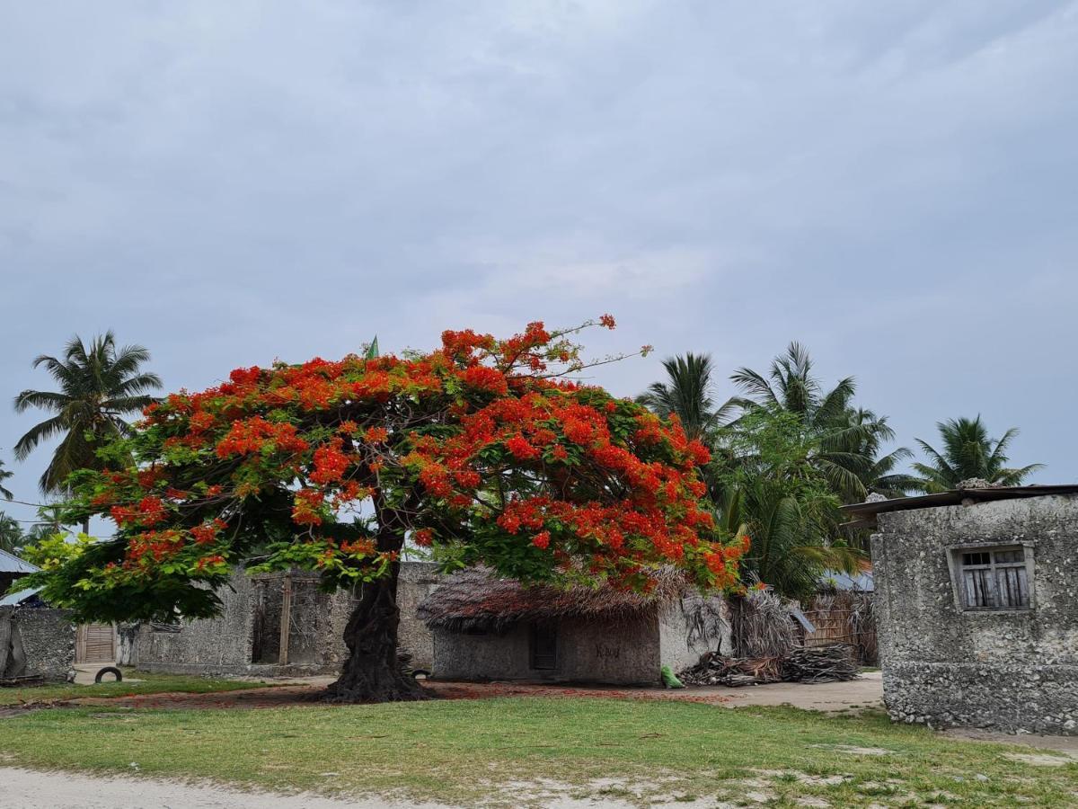 Beachfront Villa Ladha Ya Zanzibar Jambiani  Eksteriør billede