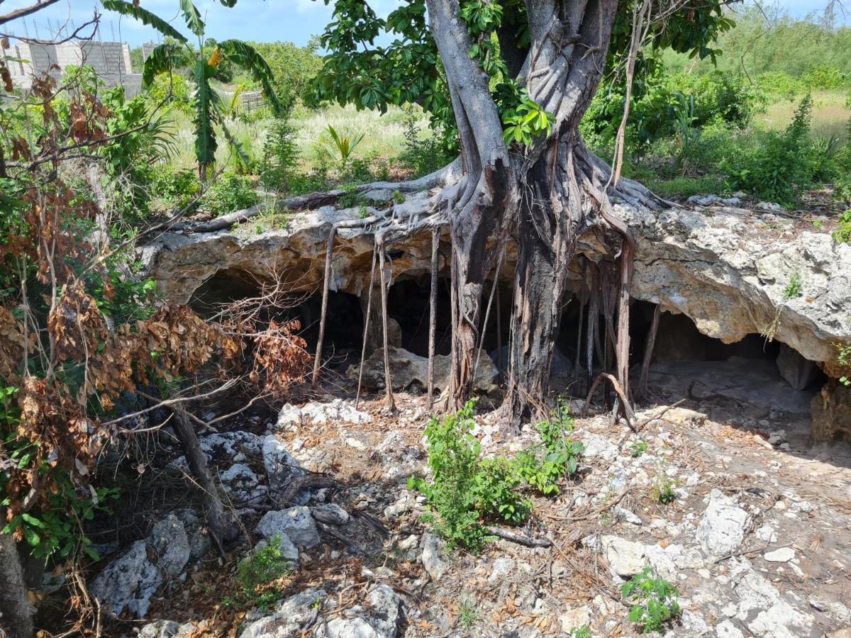 Beachfront Villa Ladha Ya Zanzibar Jambiani  Eksteriør billede