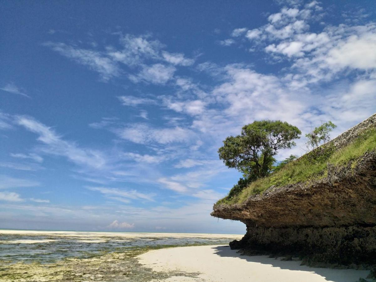 Beachfront Villa Ladha Ya Zanzibar Jambiani  Eksteriør billede