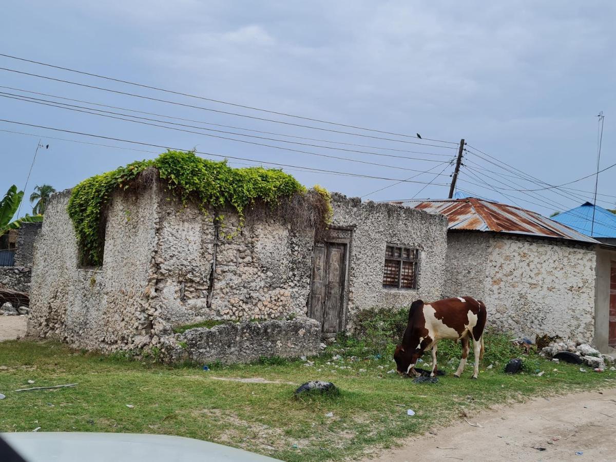 Beachfront Villa Ladha Ya Zanzibar Jambiani  Eksteriør billede
