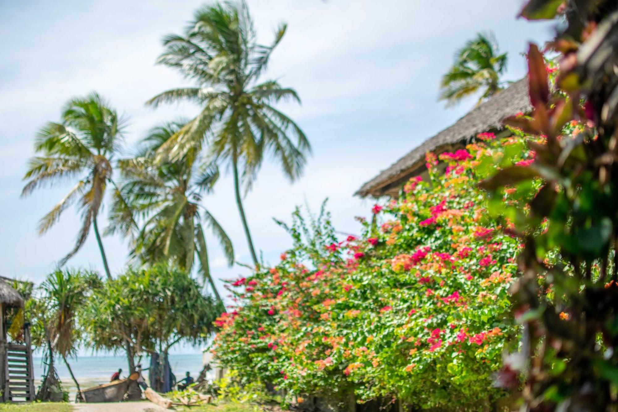 Beachfront Villa Ladha Ya Zanzibar Jambiani  Eksteriør billede